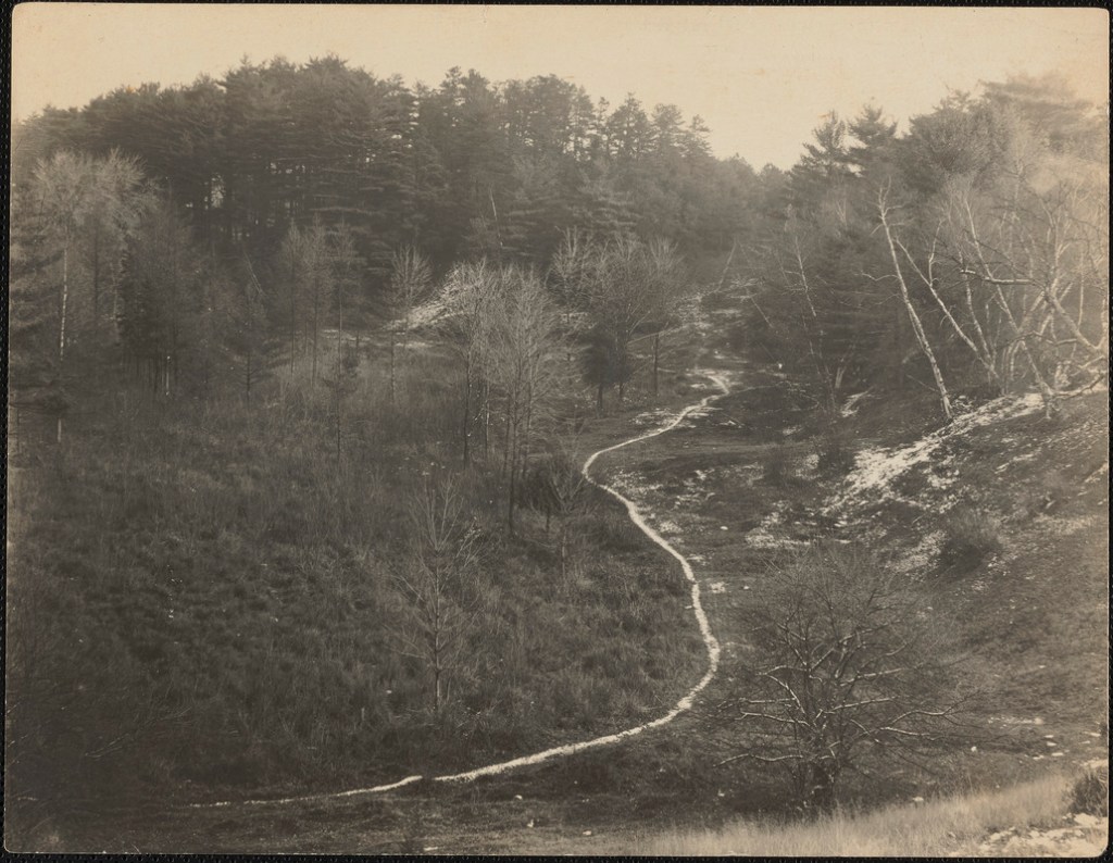 Old Bay (Watertown) Path 