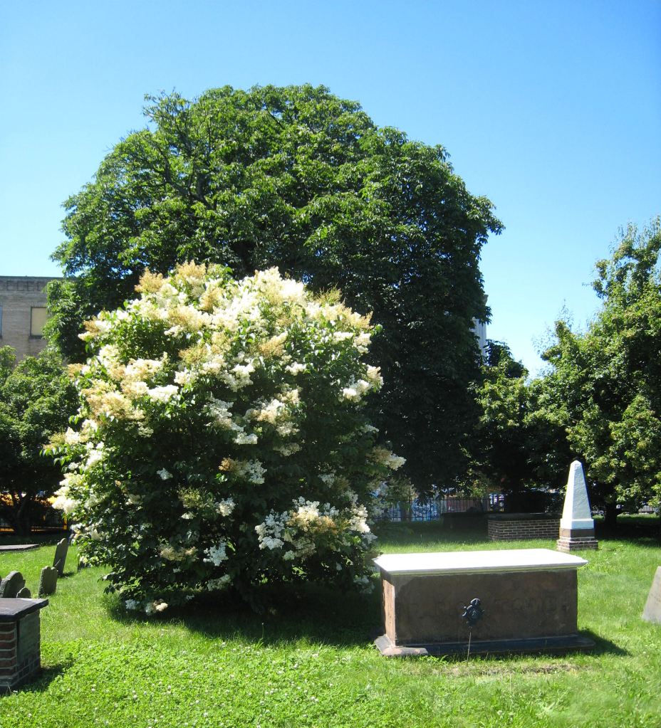 John Eliot tomb Roxbury, MA